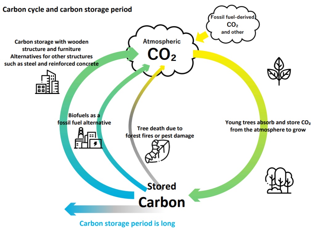 Carbon circulation process