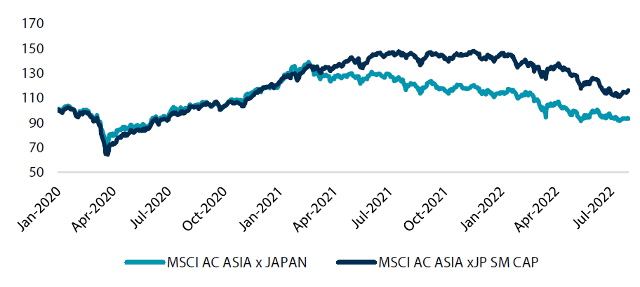 MSCI AC Asia ex Japan Index, Asia ex Japan Small Cap Index (2020 onwards)