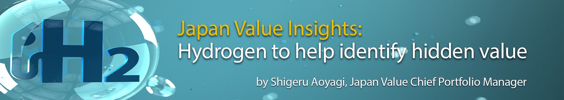 Japan Value Insights